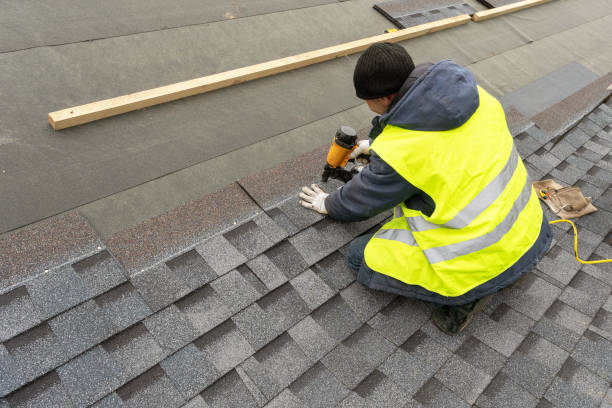 Best Roof Gutter Cleaning  in Two Rivers, WI